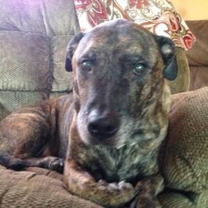 Meet your Posher, Jayden